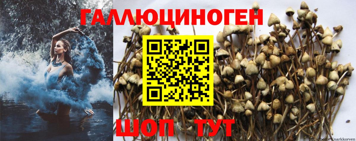 Галлюциногенные грибы ЛСД Тула
