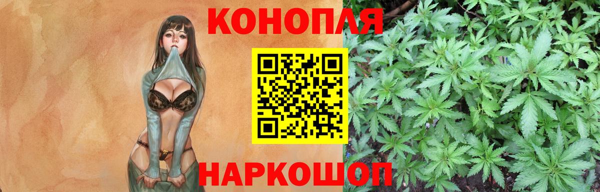Тула  Бошки Шишки гибрид  Бошки Шишки ГИДРОПОН  Конопля OG Kush  Вход с VPN  МАРИХУАНА White Widow 